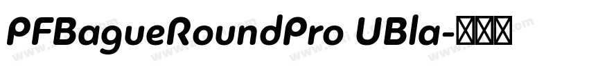 PFBagueRoundPro UBla字体转换